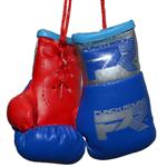 Punch Round Mini Carhanger Bokshandschoenen Blauw Zilver Rood