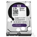 3000gb Western Digital Purple Sata - ata9