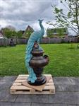 Beeld, XXL Peacock on Vase - 182 cm - Polystone, beton, hars