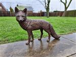 Beeld, Large Bronze Lifelike Fox - Amazing Details 57cm - 38 cm - Brons