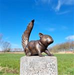 Beeldje - A lifelike bronze squirrel - Brons