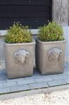 Pot Bloembak Beton Ramskop H40 x B33 Cm