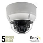 OP = OP 5 megapixel IP camera - motorzoom 3.6-10 mm - WDR - Sony CCD - PoE OnVif - 5mpv4