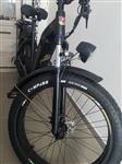 Fatbike Custom Ebike - 48V - 250W - 25 km/h 