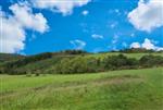 Ardennen - Erezee : bouwgrond, 10a 13ca.