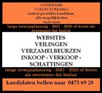 overname verzamelwinkel met websites & veilingen