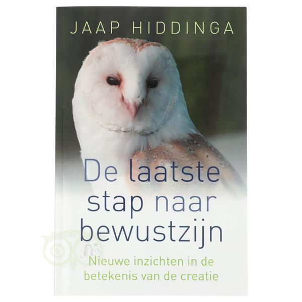 Grote foto de laatste stap naar bewustzijn jaap hiddinga boeken overige boeken