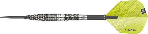 Grote foto target 975 03 97 5 swiss 975 03 97 5 swiss 23 gram sport en fitness darts