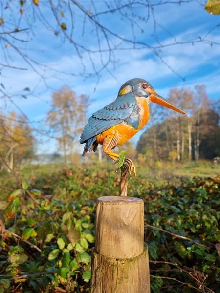 Grote foto ijsvogel op tak beeldje natuurlijke vibe metaal antiek en kunst curiosa en brocante