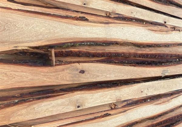 Grote foto eiken boomkant d class planken doe het zelf en verbouw hout en planken