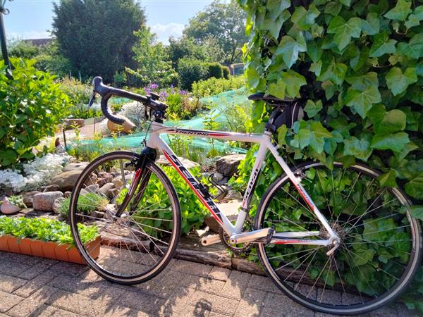 Grote foto sensa trentino in zeer goede staat fietsen en brommers racefietsen