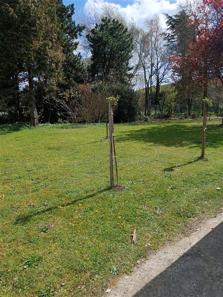 Grote foto tuinman gezocht als bijverdienste in zelzate diensten en vakmensen tuinmannen en stratenmakers