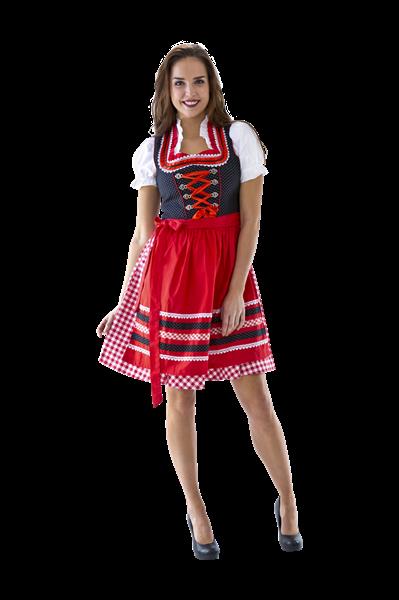 Grote foto dirndl zwart wit stip rood wit geruit verzamelen overige verzamelingen