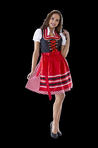 Grote foto dirndl zwart wit stip rood wit geruit verzamelen overige verzamelingen