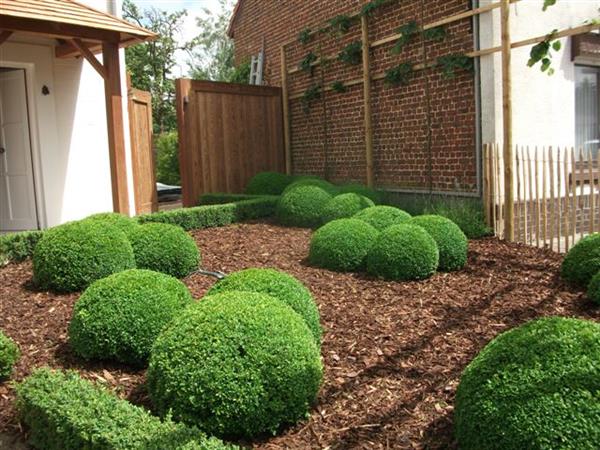 Grote foto alle tuinwerken tuin en terras overige tuin en terras