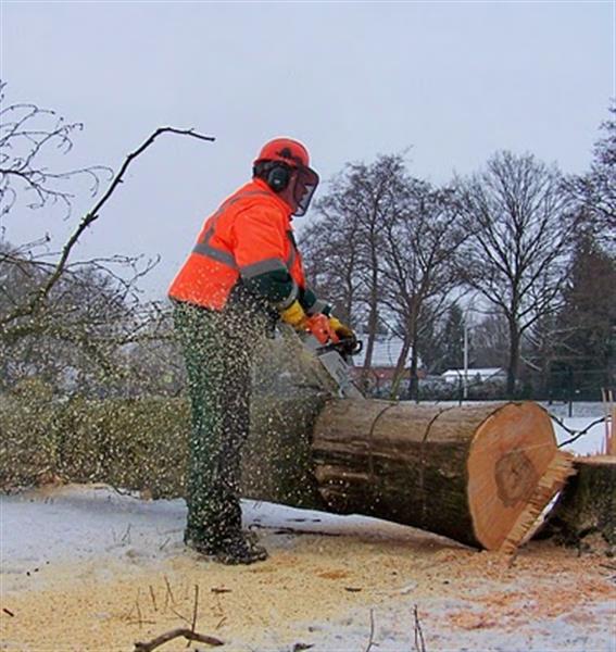 Grote foto alle tuinwerken tuin en terras overige tuin en terras