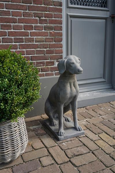 Grote foto betonnen hond beeld op voet h75 cm huis en inrichting woningdecoratie