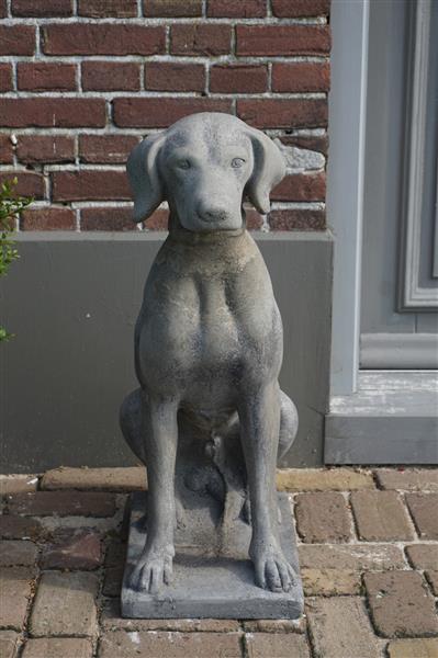 Grote foto betonnen hond beeld op voet h75 cm huis en inrichting woningdecoratie