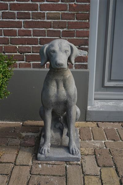 Grote foto betonnen hond beeld op voet h75 cm huis en inrichting woningdecoratie