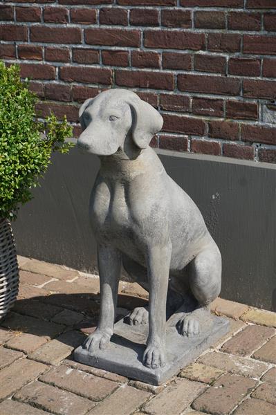 Grote foto betonnen hond beeld op voet h75 cm huis en inrichting woningdecoratie