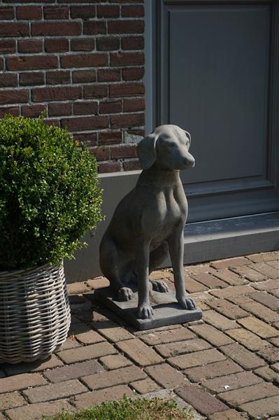 Grote foto betonnen hond beeld op voet h75 cm huis en inrichting woningdecoratie