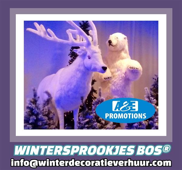 Grote foto huur winterwonderland decoratie leuven brugge diversen versiering