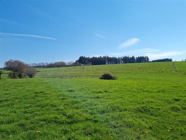 Grote foto ardennen mierchamps bouwgrond 19a 43ca. huizen en kamers grondkavels