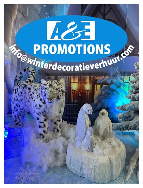 Grote foto winterkingdom brynjolfur heerenveen ijsbeer huur diensten en vakmensen feesten