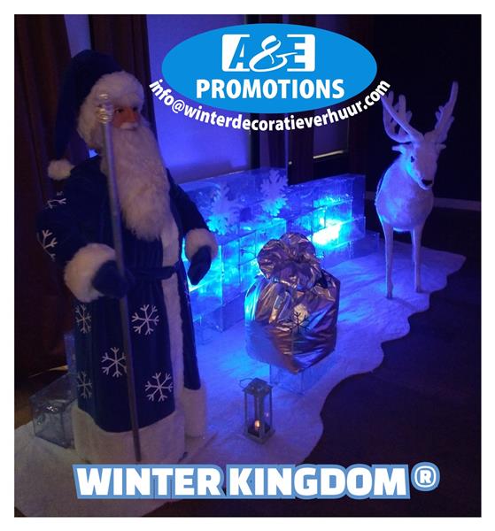 Grote foto winterkingdom brynjolfur heerenveen ijsbeer huur diensten en vakmensen feesten