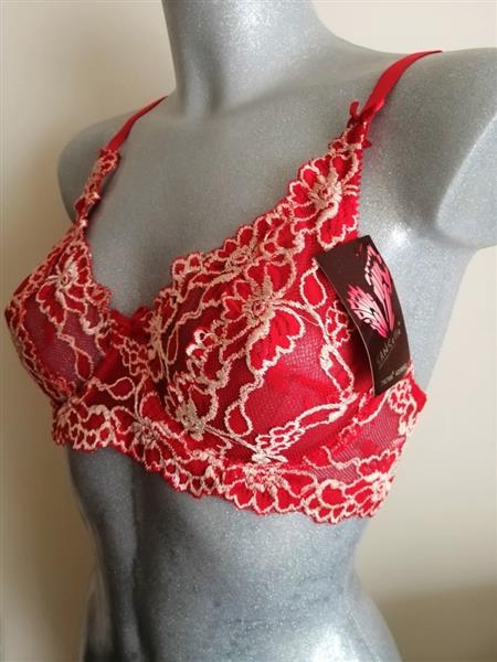 Grote foto chique rode bh met champagnekleur kant 80c kleding dames ondergoed en lingerie