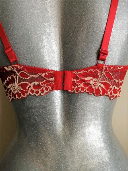 Grote foto chique rode bh met champagnekleur kant 80c kleding dames ondergoed en lingerie