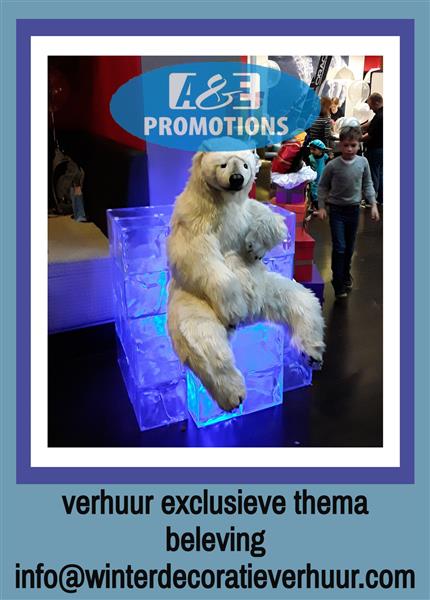 Grote foto verhuur winterwonderland items leuven genk diversen kerst