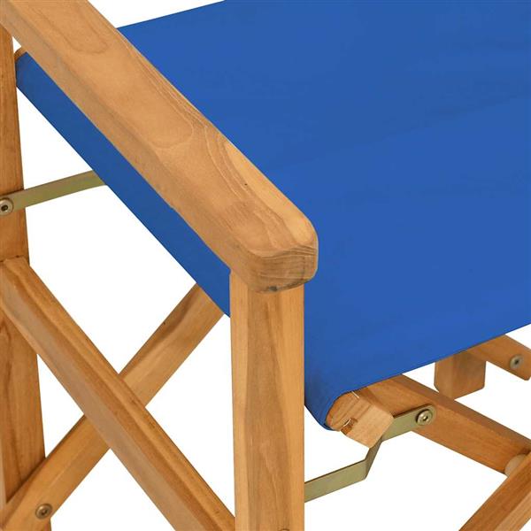 Grote foto vidaxl regisseursstoelen inklapbaar 2 st massief teakhout blauw tuin en terras tuinmeubelen