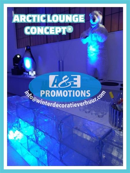 Grote foto frozen effect props verhuur ijsbar lounge diversen kerst