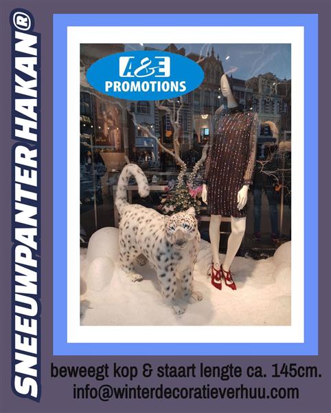 Grote foto turnhout winter wonder land etalering verhuur diversen kerst