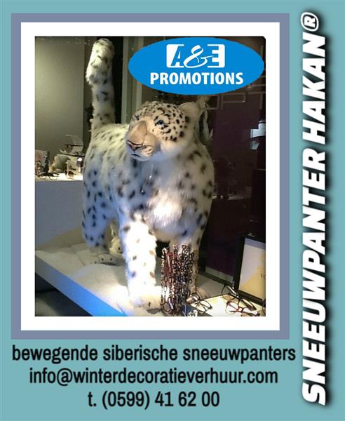 Grote foto witte bewegende dieren poolwolf verhuur etc. diensten en vakmensen bedrijfsuitjes