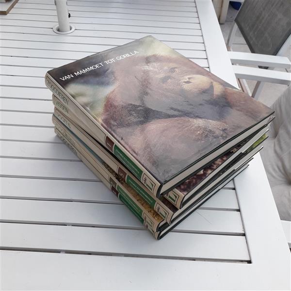 Grote foto boeken dieren boeken dieren en huisdieren