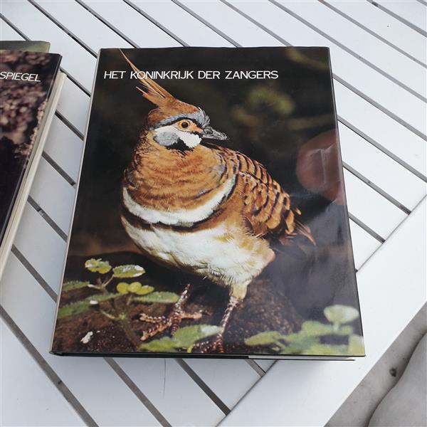 Grote foto boeken dieren boeken dieren en huisdieren