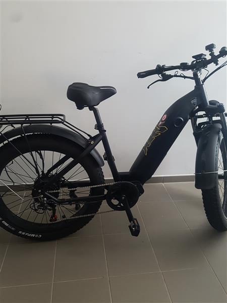 Grote foto fatbike custom ebike 48v 250w 25 km h fietsen en brommers sportfietsen