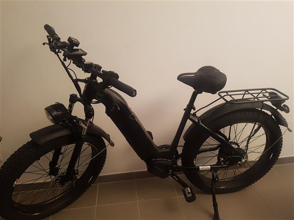 Grote foto fatbike custom ebike 48v 250w 25 km h fietsen en brommers sportfietsen