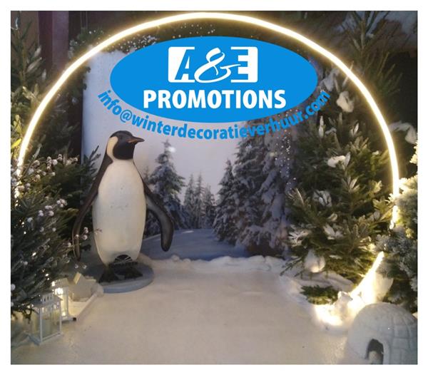 Grote foto huur pinguin decors arctische winter items huur hobby en vrije tijd evenementen