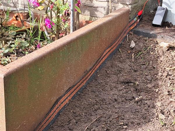 Grote foto slak .stop.oplossing tuin en terras overige tuin en terras