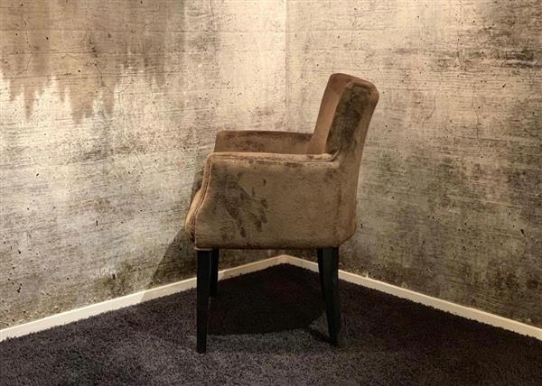 Grote foto luxe velours eetkamerstoel huis en inrichting stoelen