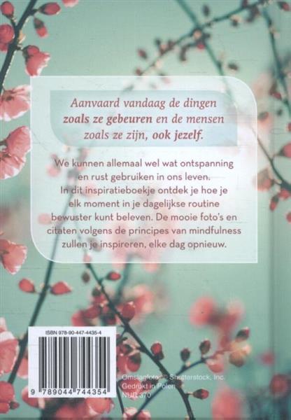 Grote foto mindful op elk moment boeken stripboeken