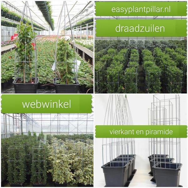 Draadrekken Plantensteun Draadzuil Verticale Tuin Kopen Hekken en