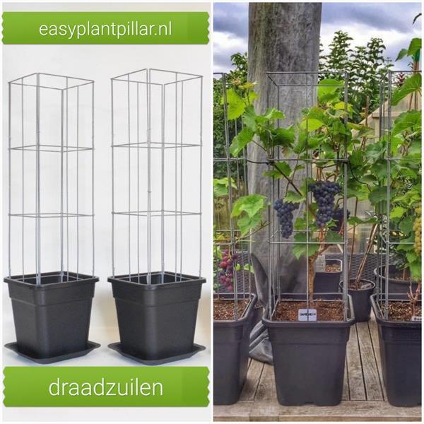 Draadrekken Plantensteun Draadzuil Verticale Tuin Kopen Hekken en